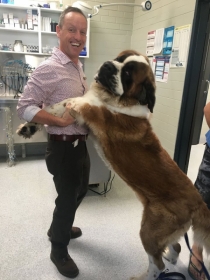 Big Dog with big dog 